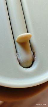 Dorisaqua review photo