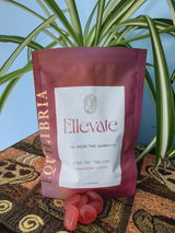 Elizabeth M. review photo