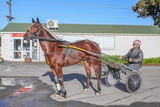 Dianne Cole review photo