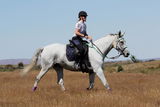 windsor equestrian review photo