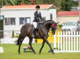 Leesa Banicevich review photo