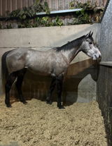 Eimear review photo