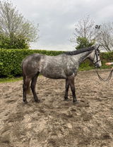 Eimear review photo