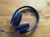 J. Knopp review photo