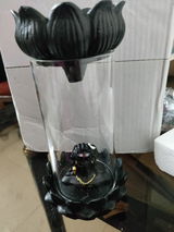 Shweta Bodke review photo