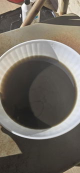 Dl review photo