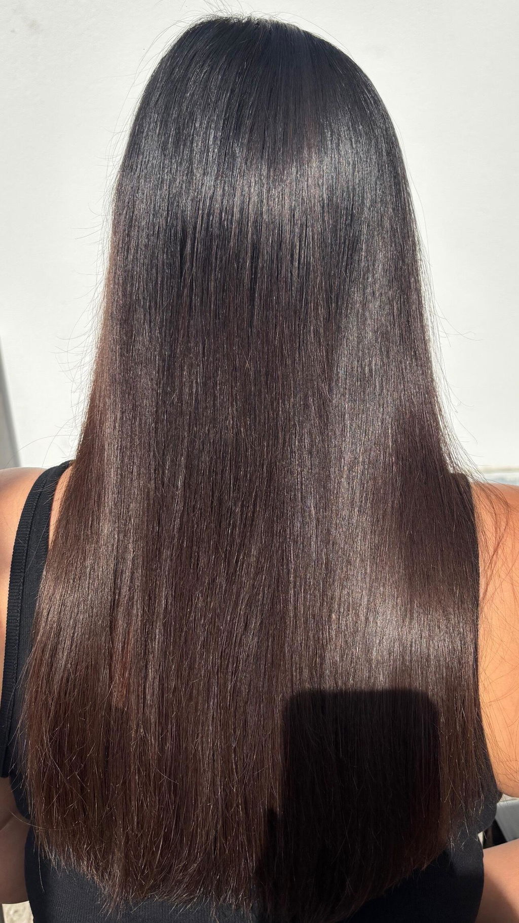 Poudre Indigo (Coloration Naturelle)
