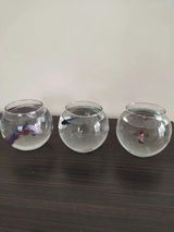 Anonim review photo