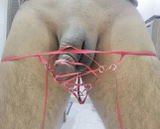 V. review photo