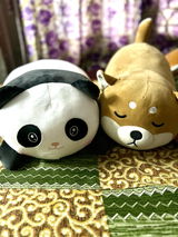 Shirsha B. review photo
