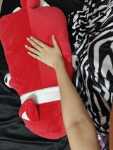 Fida review photo