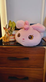 Divyanshi D. review photo