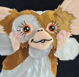 Tracy review photo