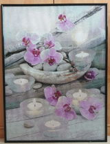 Mireya review photo