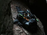 James Haigler review photo