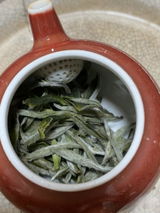 Tori review photo
