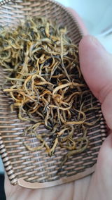 Alen review photo