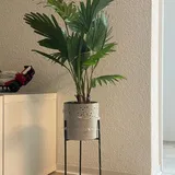 Anonym review photo
