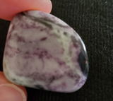 Traci review photo