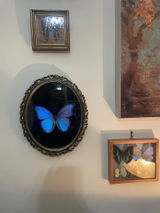Patricia O'Sullivan review photo