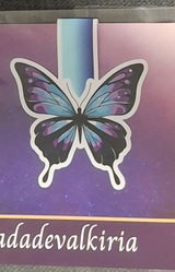 Nais review photo