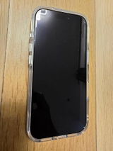 Indigo review photo