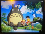 Ozan review photo