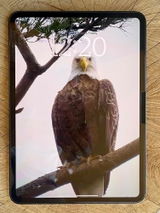 Tesala review photo