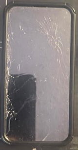 Janice M review photo
