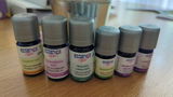Ines H. review photo