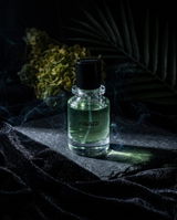 Humberto Castillo review photo
