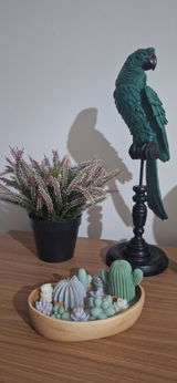Alessandra review photo