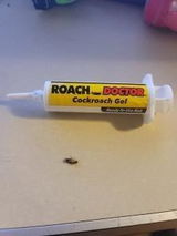 Lourdes Xiomara Bonilla review photo