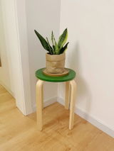 erinlale review photo