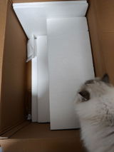 Cliff H. review photo