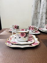 Sohini review photo
