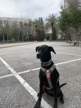 Cristina Ballester review photo