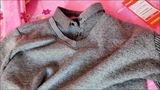 Catalin Preda review photo