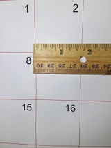 pdlmh review photo