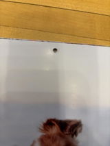 Rocky d. review photo