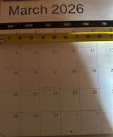littlem review photo