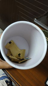 Mansi review photo
