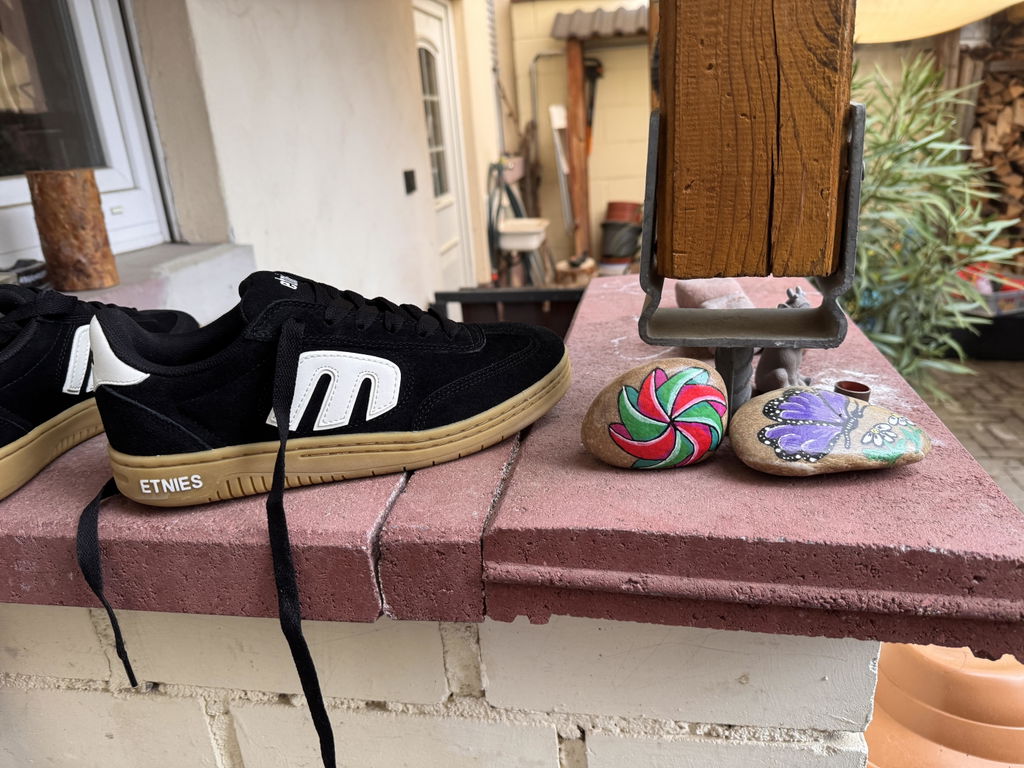 Locut Skate Low-Top Shoe - skateboarding | etnies Official