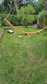 C.H. review photo