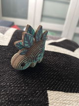 Customer review photo