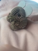 Jacqueline Picone review photo