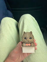 Anonymous review photo