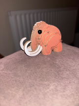 Anonymous review photo