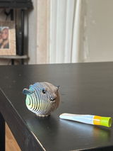 Customer review photo