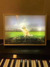 Hailey Wood review photo